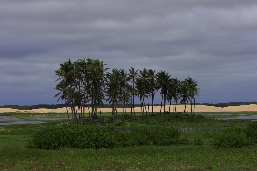 Jagata Tutoia